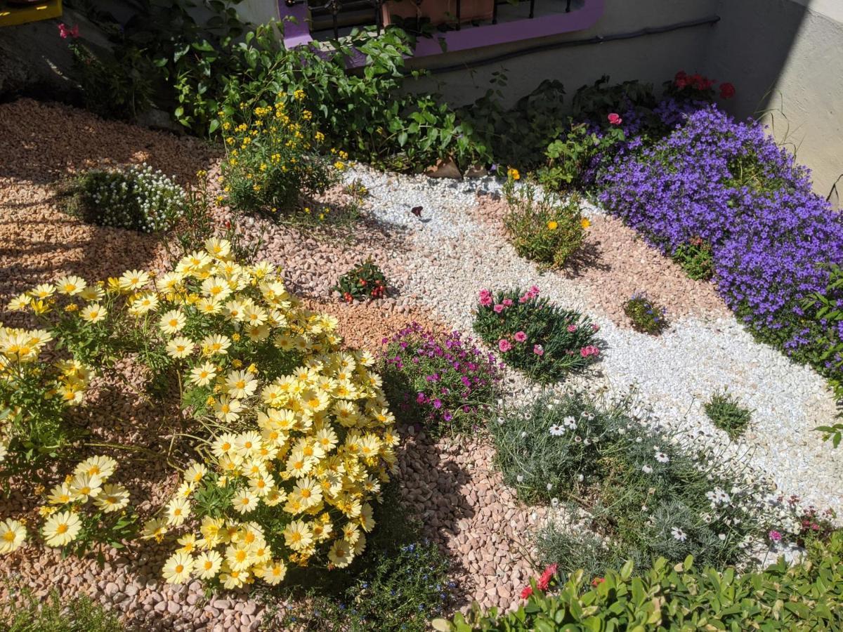Nel Giardino Di Oz Acomodação com café da manhã Fornovo di Taro Exterior foto